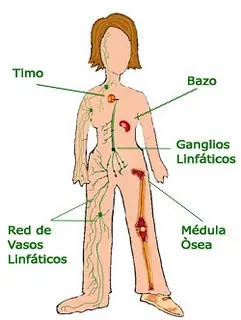 Esto sucede cuando duermes del lado izquierdo