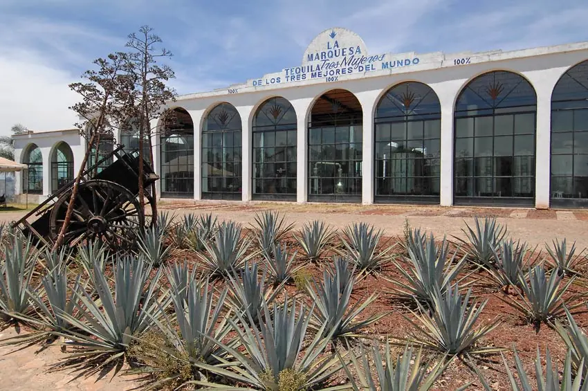 Las 4 mejores destilerías de Tequila y sus alrededores