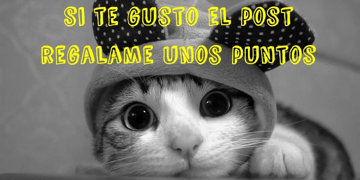 Curiosidades del Führer