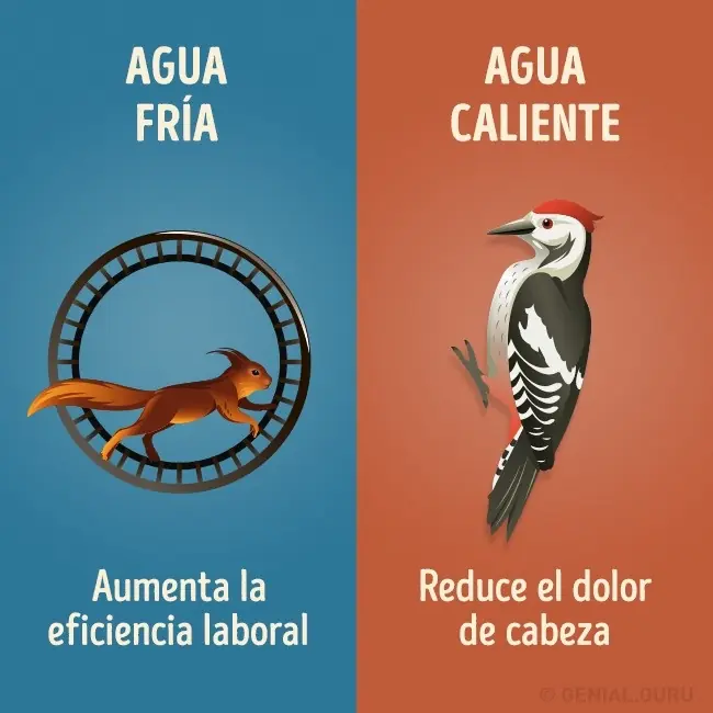 9 Diferencias entre la ducha fría y la caliente