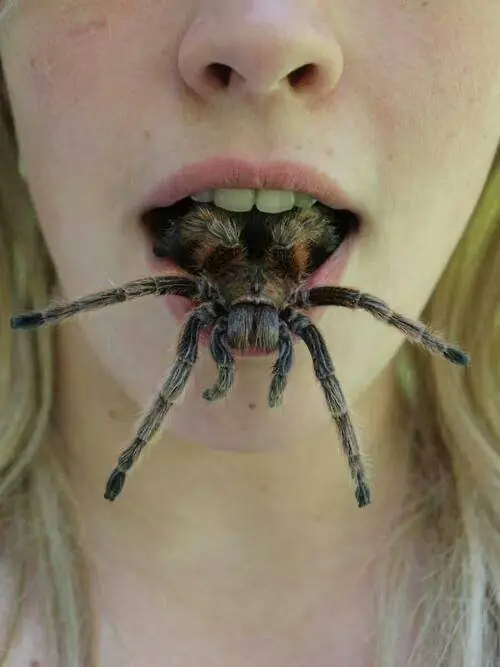 bizzarro