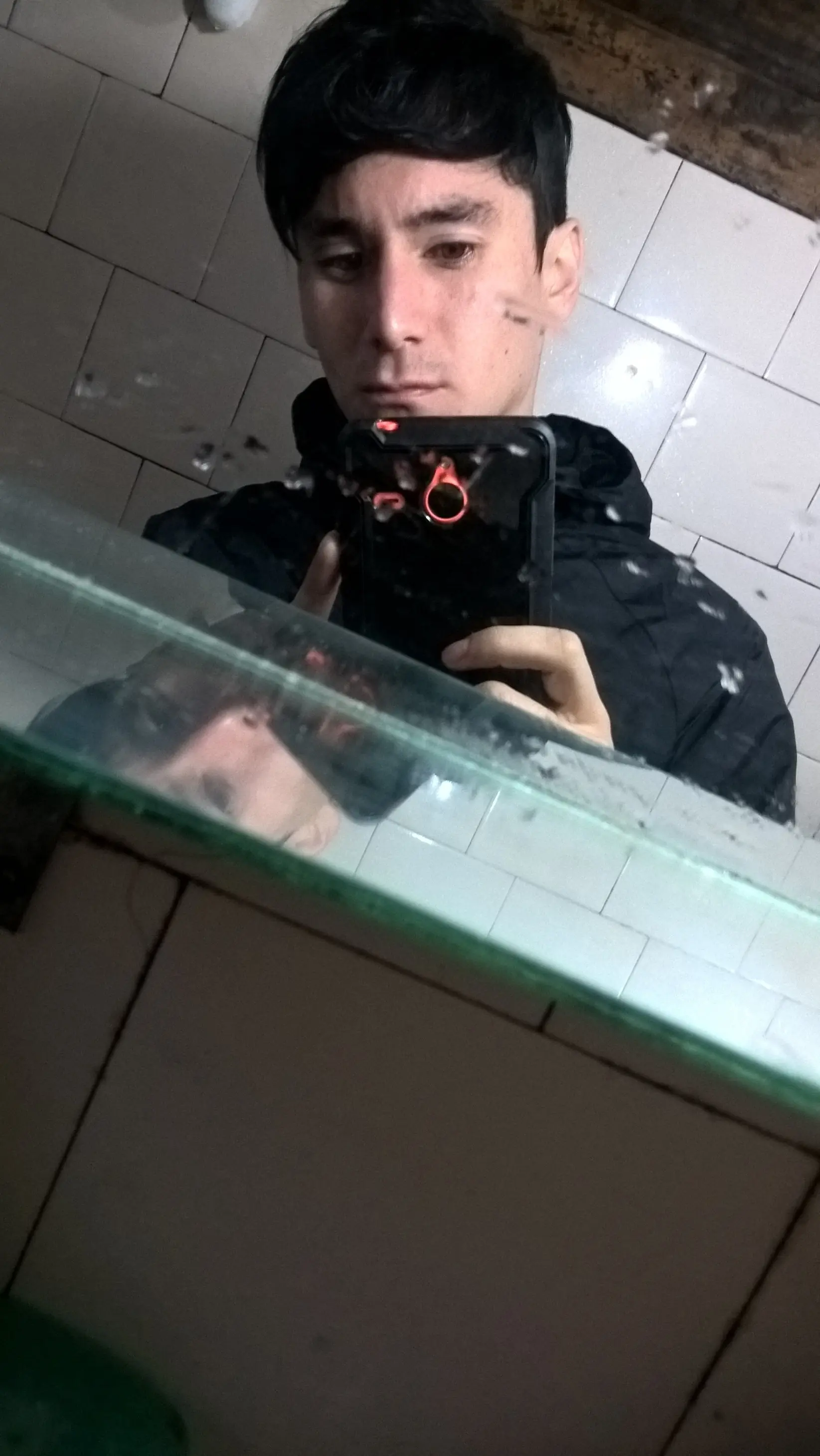 pelo pelo