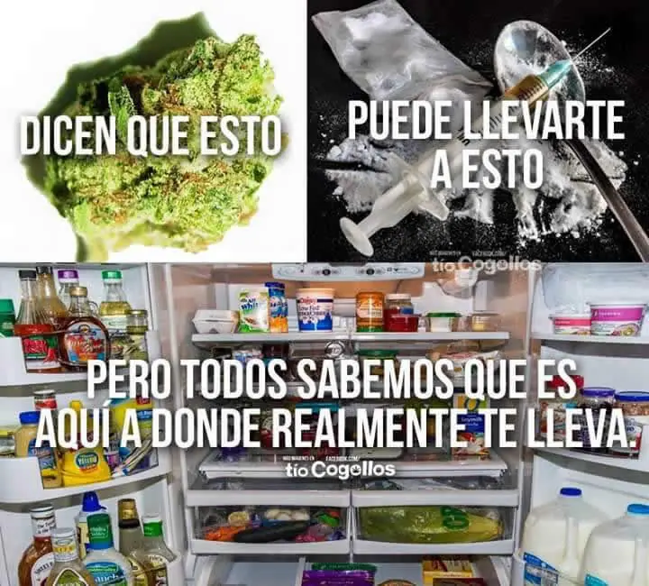 Humor Matutino