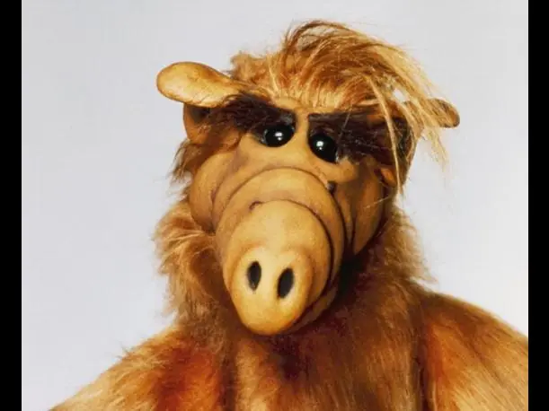 Alf