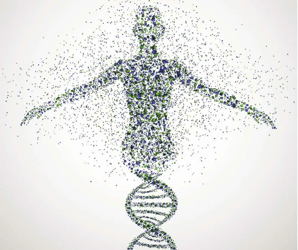 genetica genetica
