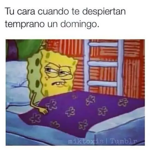 ocio