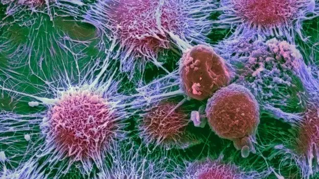 5 hitos de 2015 que podrían cambiar el curso de la medicina