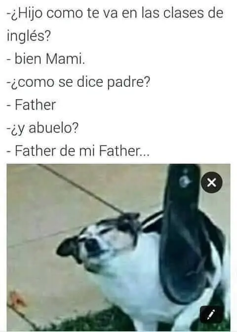 imagenes graciosas