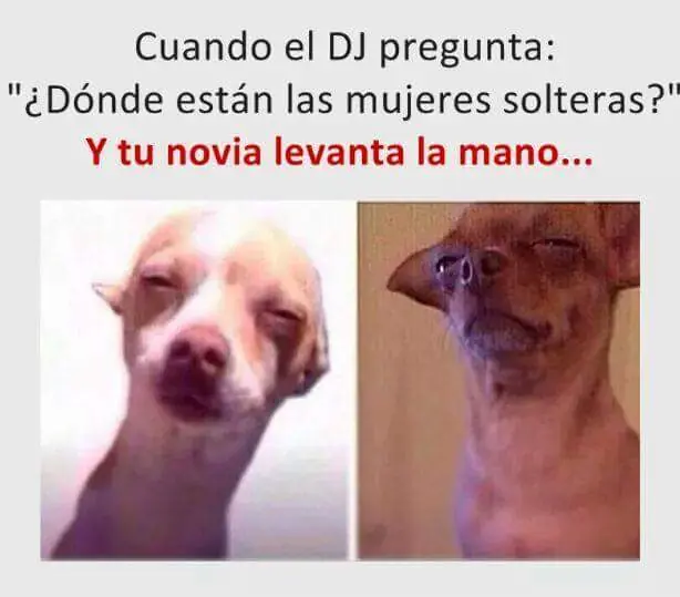 taringa