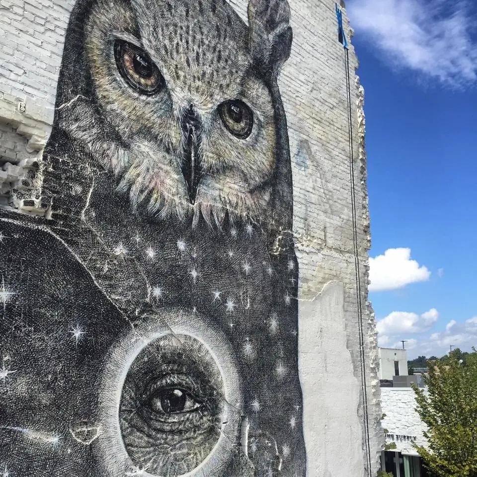 Arte urbano y muralismo de Alexis Díaz
