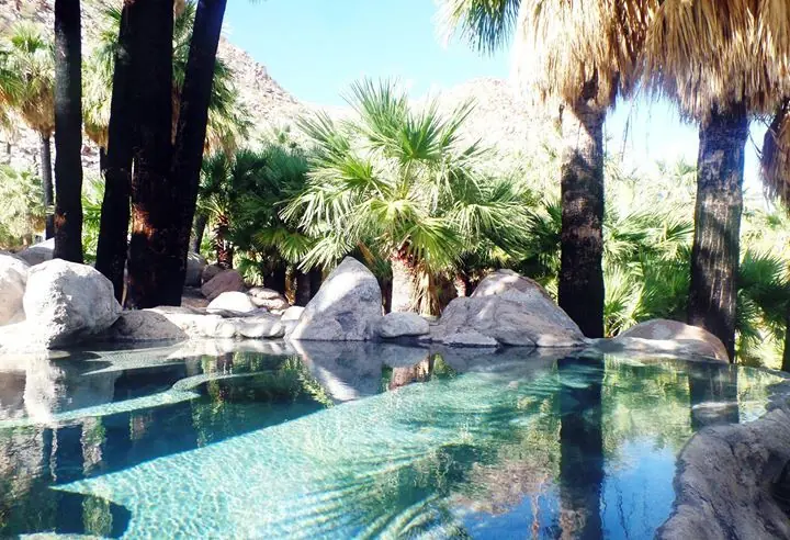 oasis oasis