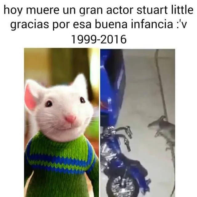 divertidas