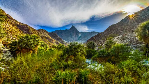 cañón de guadalupe oasis en el desierto mexicano
