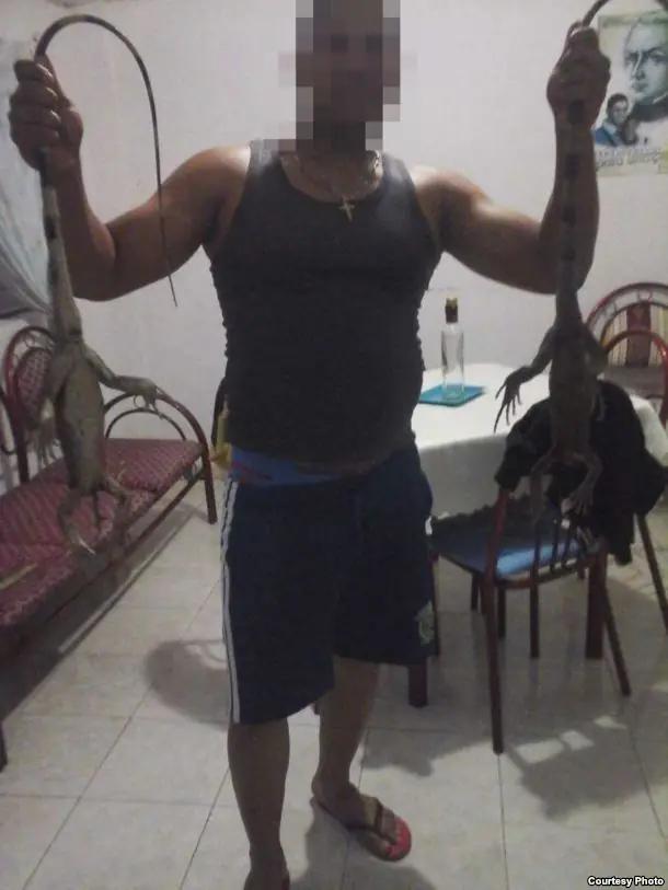 cubanos