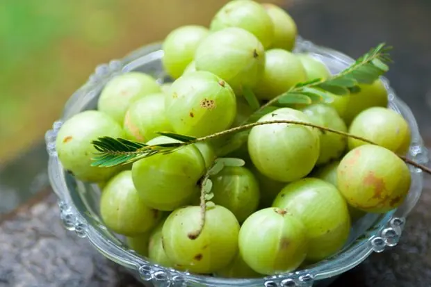 saludables