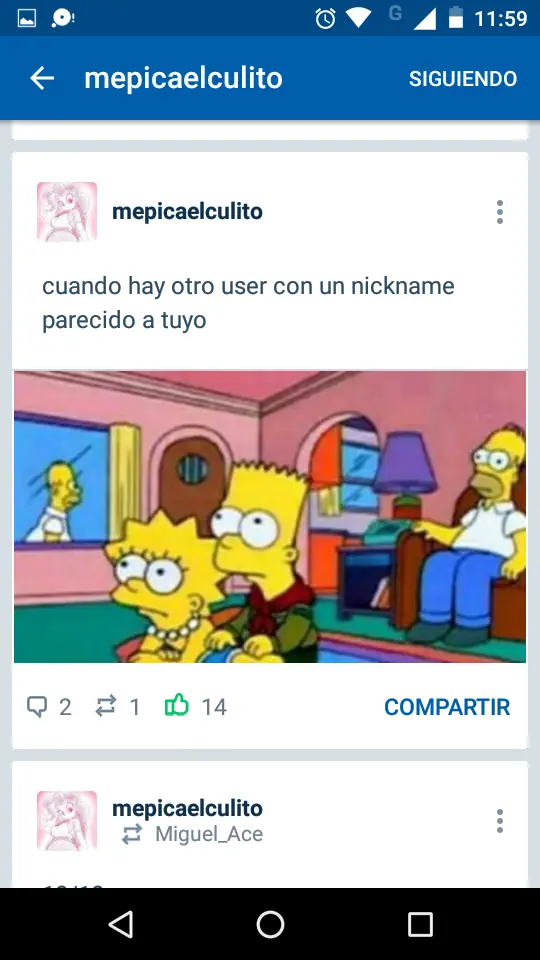 Porque Taringa shouts no sirve