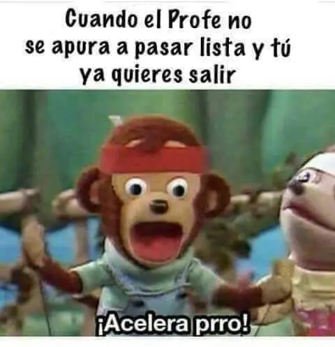 taringuero