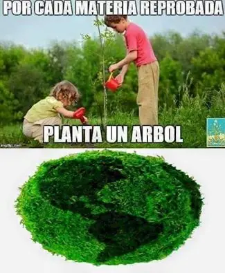 taringa