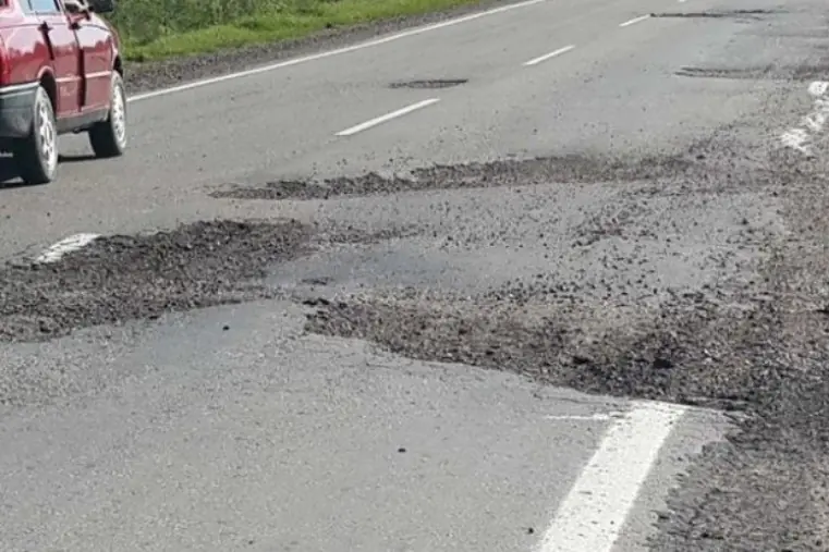 bache