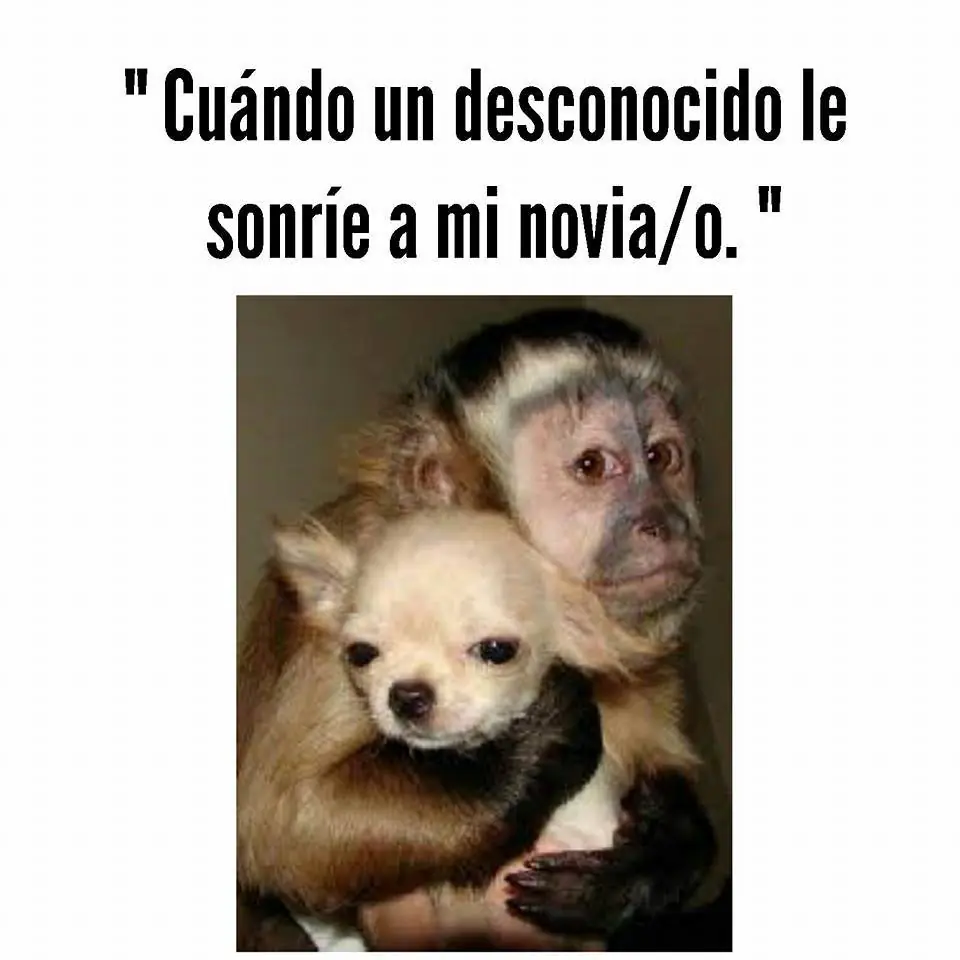 taringuero