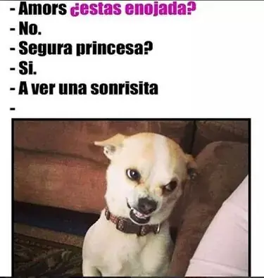 lince