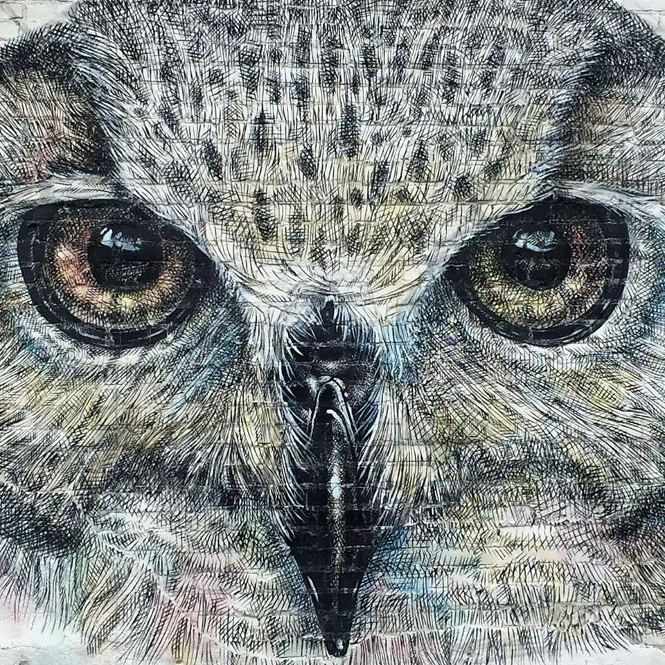 Pintura Pintura