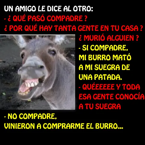 lince