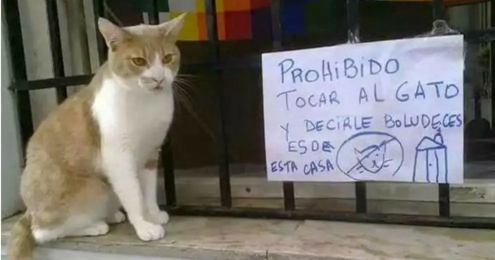 avisos