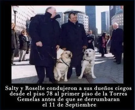 imagenes historicas