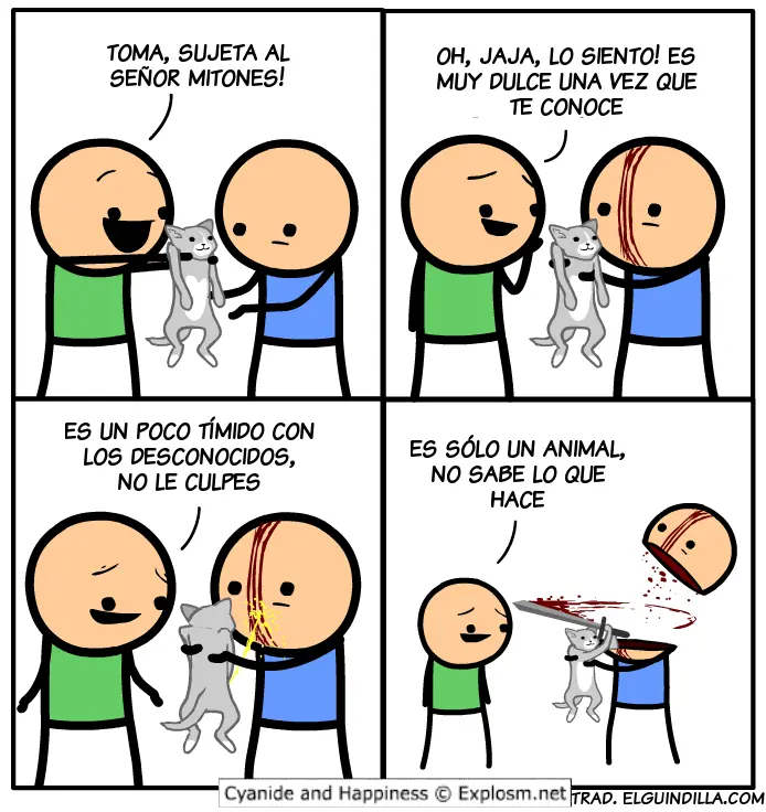 fotos