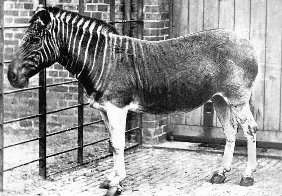 imagenes historicas