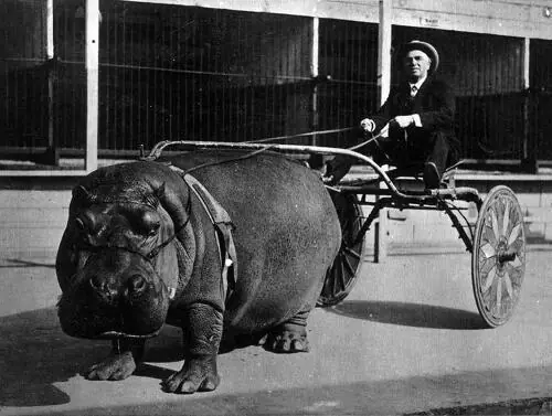 imagenes historicas