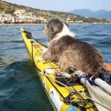 cincuenta