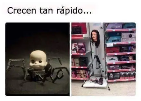 fotos