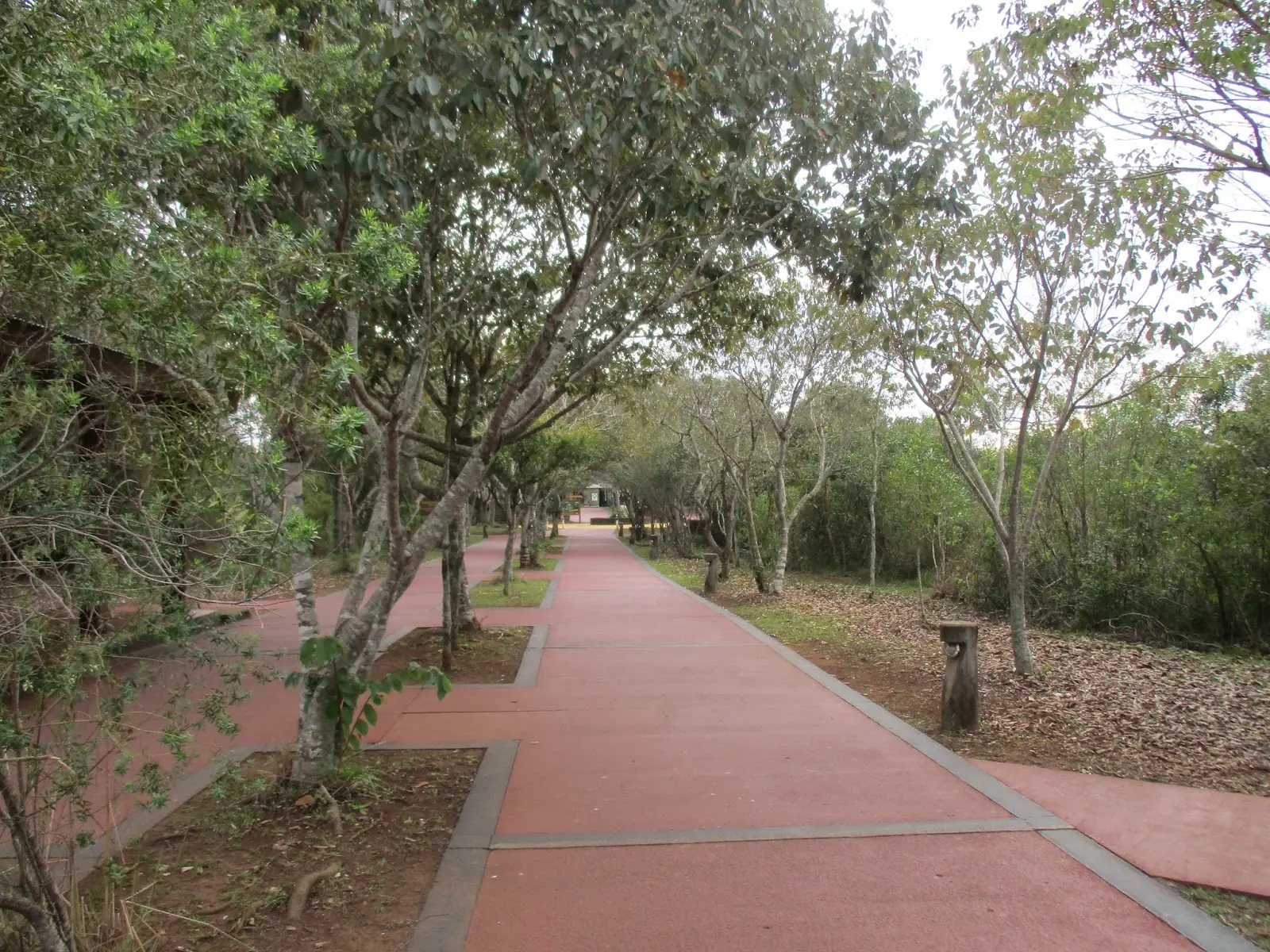 cataratas del iguazu turismo