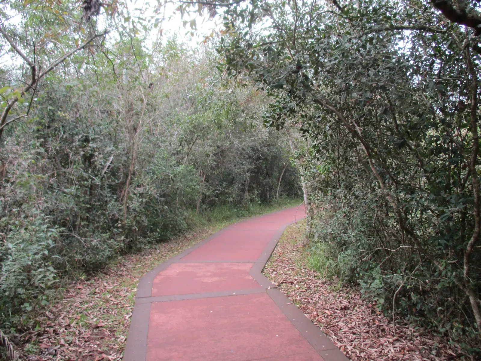 Cataratas del Iguazú, una Maravilla Natural del Mundo