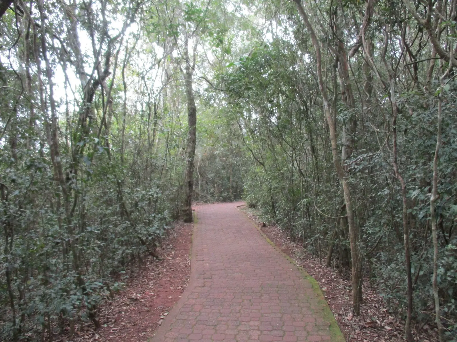 Cataratas del Iguazu