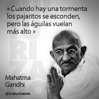 Mirate estas imagenes de Humor Papa