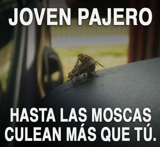 humor