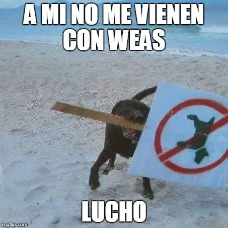 imagenes