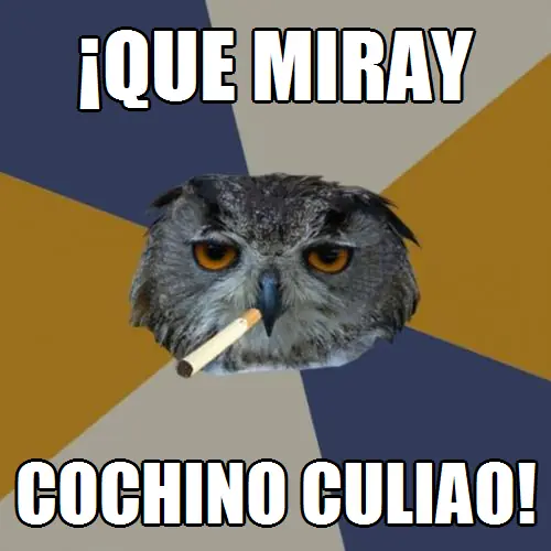 memes graciosos