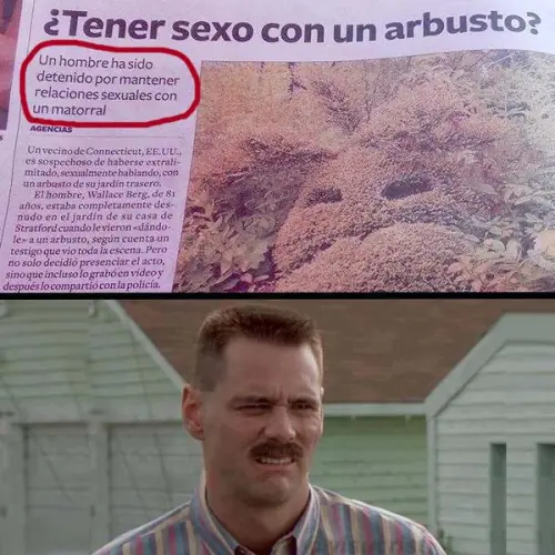 entra y reite