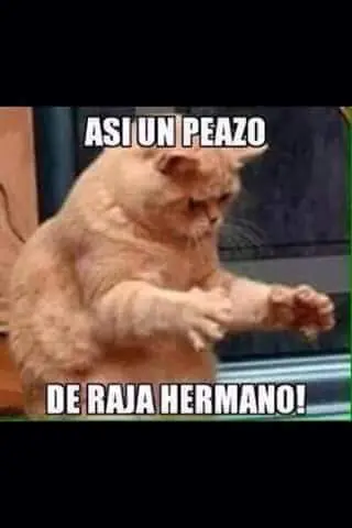 memes graciosos