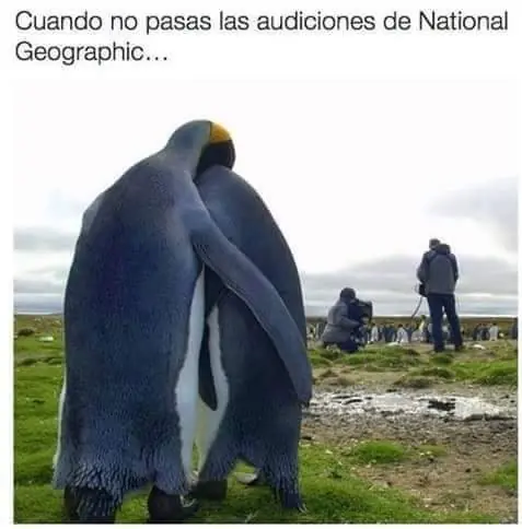 imagenes