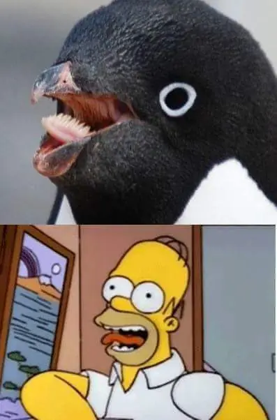tanganana tangananica