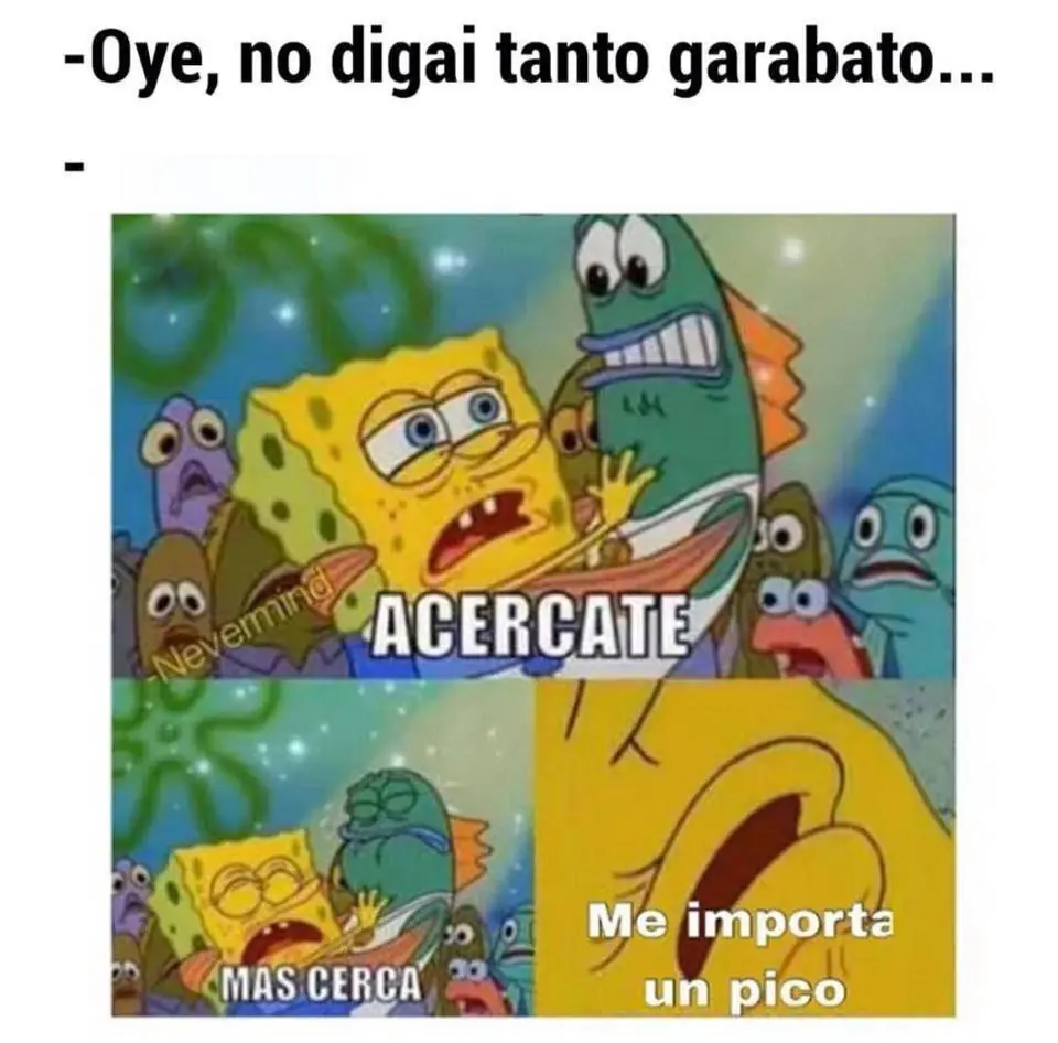 Humor chileno XIV