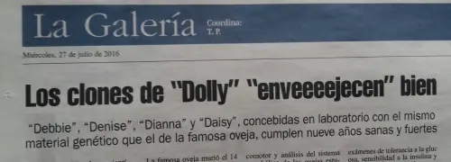 humor de jueves