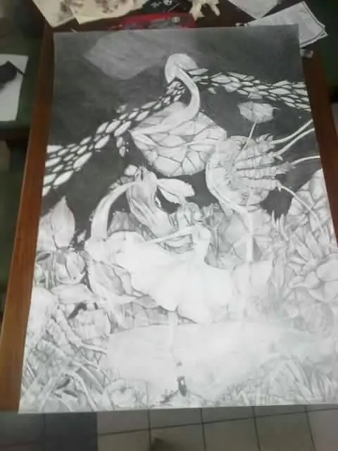 dibujo