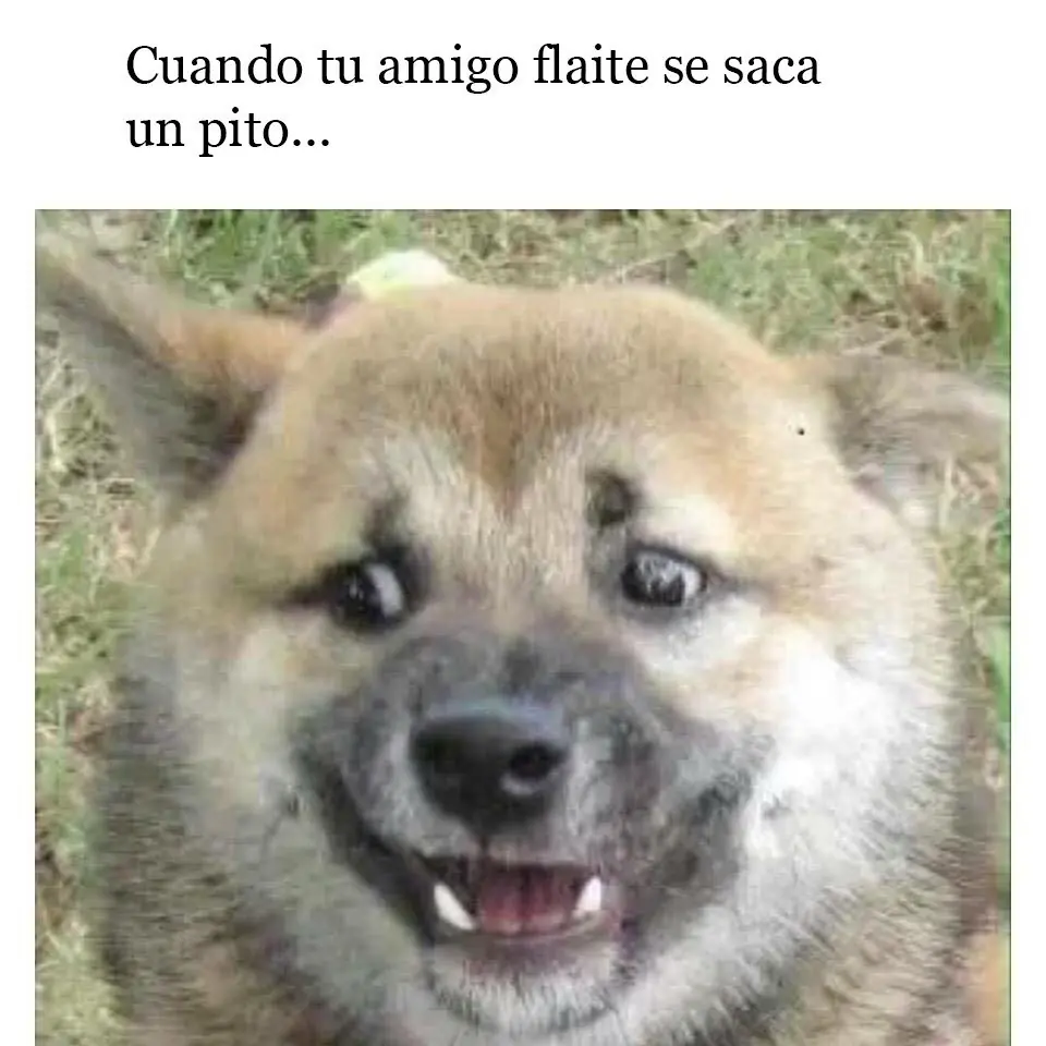 memes chilenos