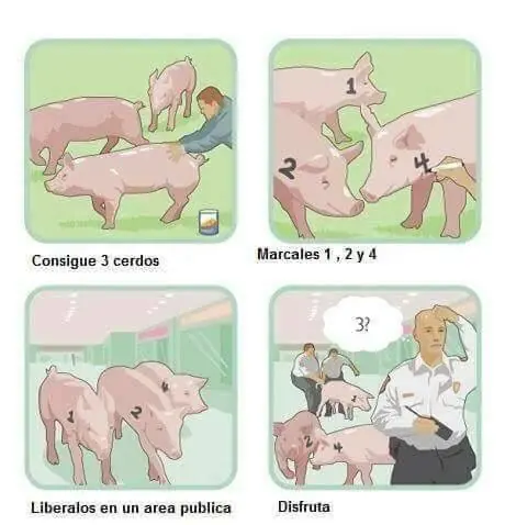 memes graciosos